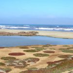 Humedal La Boca – basada en el Plan Nacional de Protección de Humedales 2018 – 2022