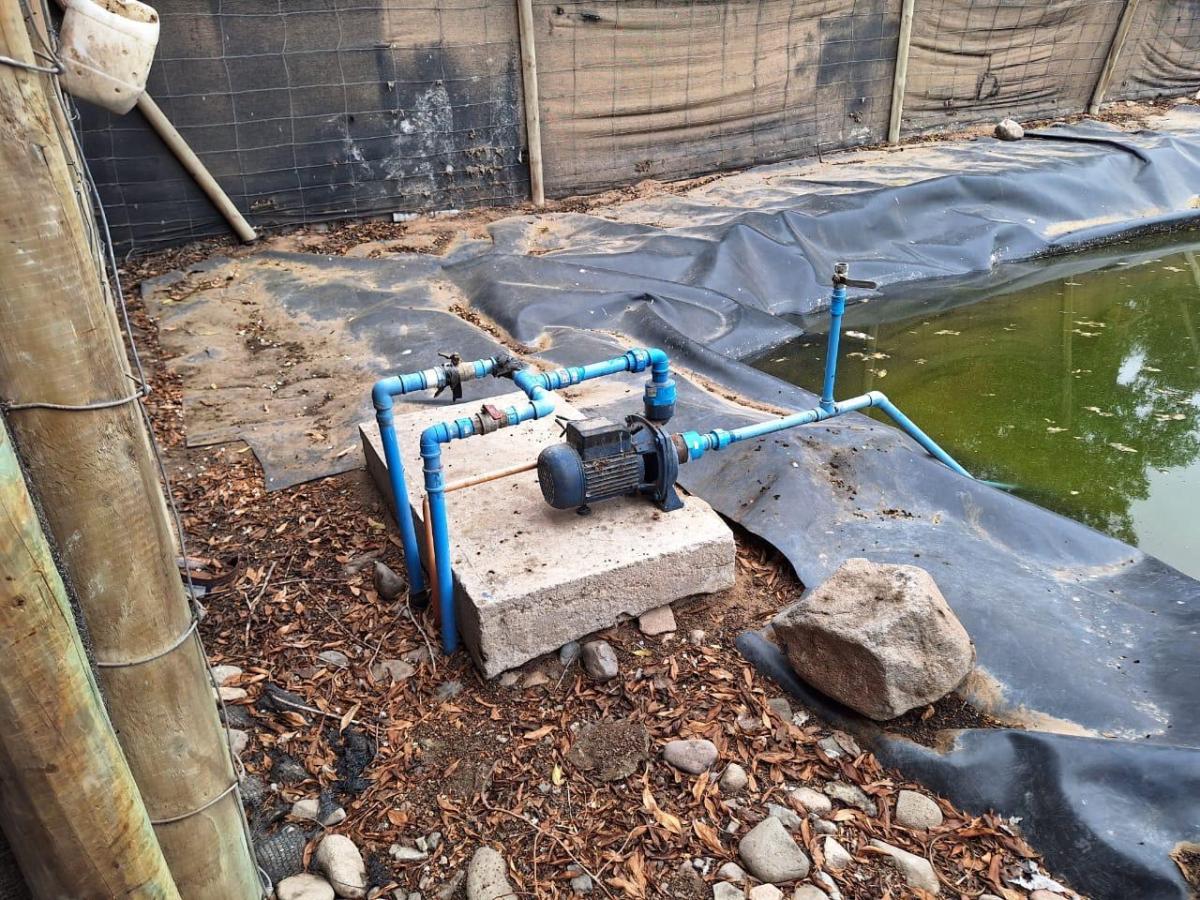 WhatsApp-Image-2025-03-16-at-11.02.55-PM-3