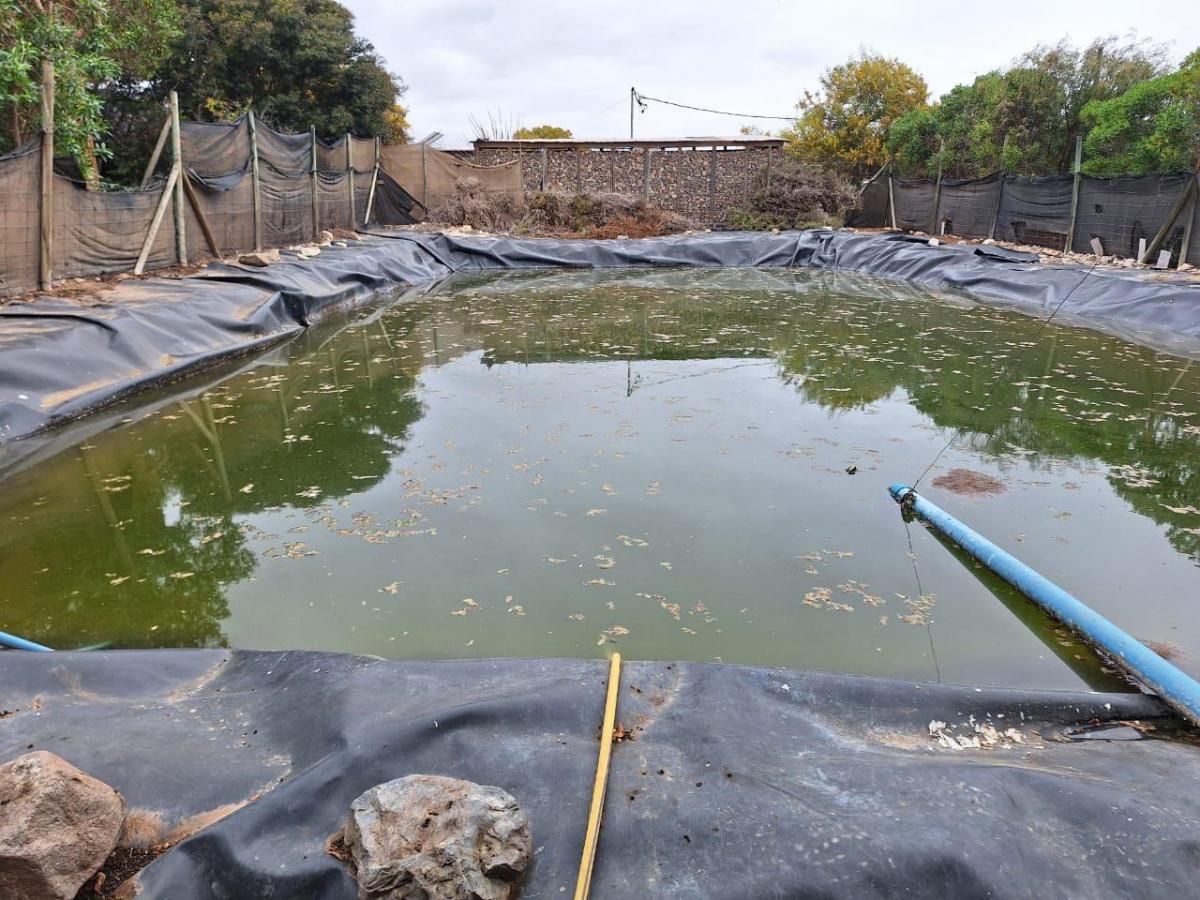 WhatsApp-Image-2025-03-16-at-11.02.55-PM-4